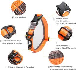 Adjustable Nylon Dog Collar