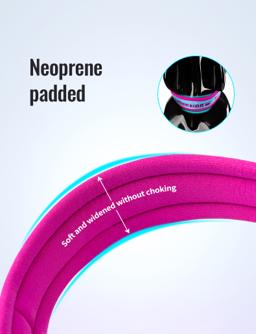Neoprene-Padded Reflective Dog Collar