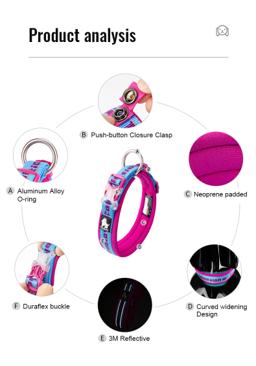 Neoprene-Padded Reflective Dog Collar