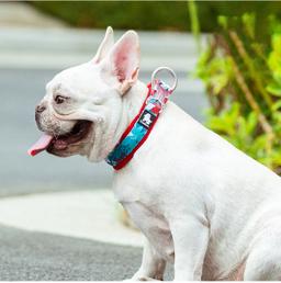 Cotton Patterned Mesh-Padded Dog Collar