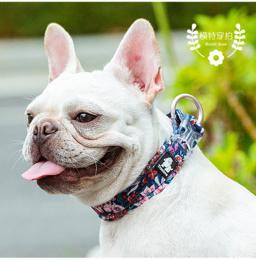 Cotton Patterned Mesh-Padded Dog Collar