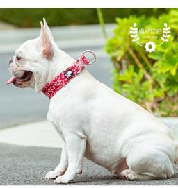 Cotton Patterned Mesh-Padded Dog Collar