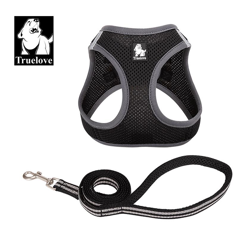Harness