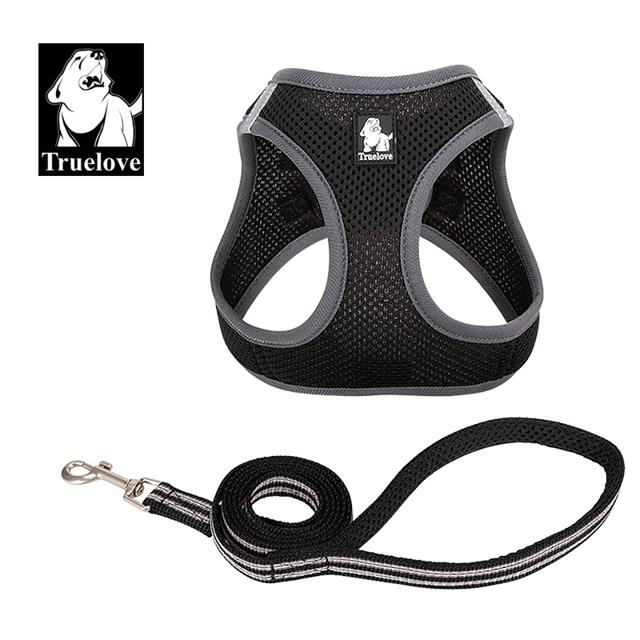 Harness