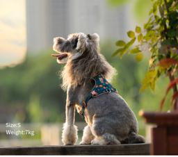 ComfortFlex Reflective Dog Harness
