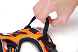 Easy-On Reflective Dog Harness with Dual Clips