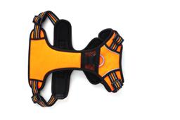 Easy-On Reflective Dog Harness with Dual Clips
