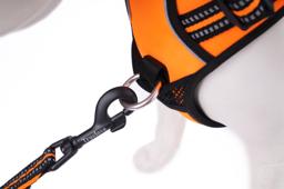 Easy-On Reflective Dog Harness with Dual Clips