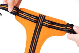 Easy-On Reflective Dog Harness with Dual Clips