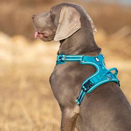 Easy-On Reflective Dog Harness with Dual Clips