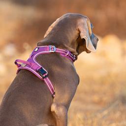 Easy-On Reflective Dog Harness with Dual Clips