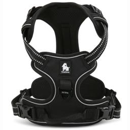 Padded Dog Harness with Dual Lead Attachments
