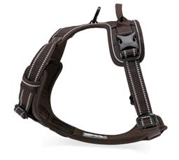 Padded Dog Harness with Dual Lead Attachments