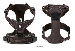 Padded Dog Harness with Dual Lead Attachments