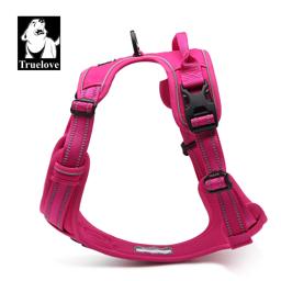 Padded Dog Harness with Dual Lead Attachments