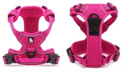 Padded Dog Harness with Dual Lead Attachments