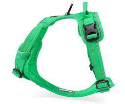 Padded Dog Harness with Dual Lead Attachments