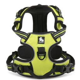 Padded Dog Harness with Dual Lead Attachments