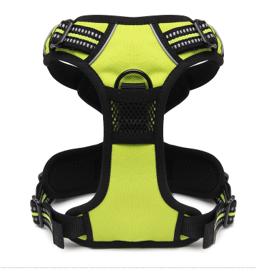 Padded Dog Harness with Dual Lead Attachments
