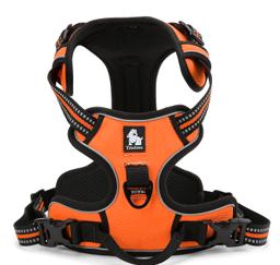 Padded Dog Harness with Dual Lead Attachments
