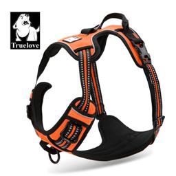 Padded Dog Harness with Dual Lead Attachments