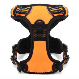 Padded Dog Harness with Dual Lead Attachments