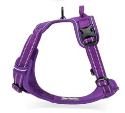 Padded Dog Harness with Dual Lead Attachments