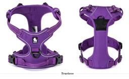 Padded Dog Harness with Dual Lead Attachments