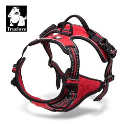 Padded Dog Harness with Dual Lead Attachments