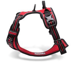 Padded Dog Harness with Dual Lead Attachments