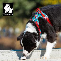 Reflective Air-Mesh Dog Harness with Opening Neck