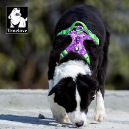 Reflective Air-Mesh Dog Harness with Opening Neck