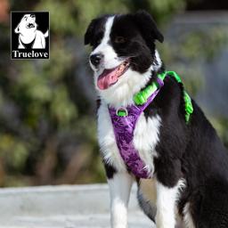 Reflective Air-Mesh Dog Harness with Opening Neck