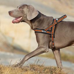 Neoprene Padded Reflective Dog Harness