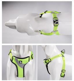 Lightweight Padded Reflective Dog Harness