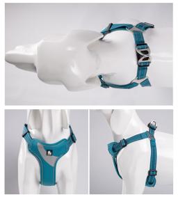 Lightweight Padded Reflective Dog Harness