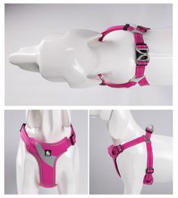 Lightweight Padded Reflective Dog Harness