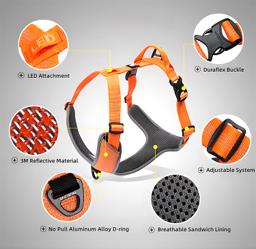 Reflective Dual-Clip Dog Harness with Handle