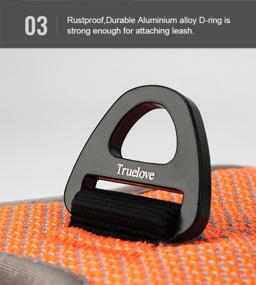 Reflective Dual-Clip Dog Harness with Handle