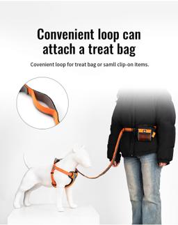 Adjustable Hands-Free Bungee Dog Lead