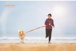 Adjustable Hands-Free Bungee Dog Lead
