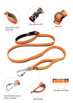 Adjustable Hands-Free Bungee Dog Lead