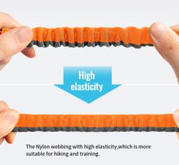 Adjustable Hands-Free Bungee Dog Lead