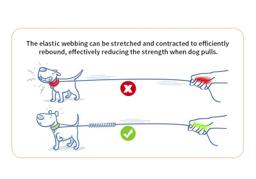 Adjustable Hands-Free Bungee Dog Lead