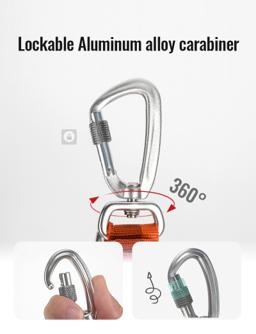 Adjustable Hands-Free Bungee Dog Lead