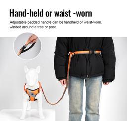 Adjustable Hands-Free Bungee Dog Lead