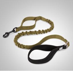 Neoprene Padded Handle Bungee Dog Leash