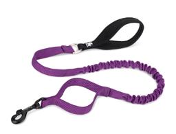 Neoprene Padded Handle Bungee Dog Leash