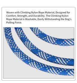 Rope Slip Lead for Dogs