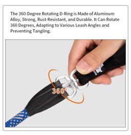 Rope Slip Lead for Dogs